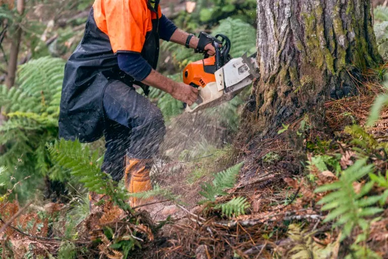 Forest 360 - Harvesting services