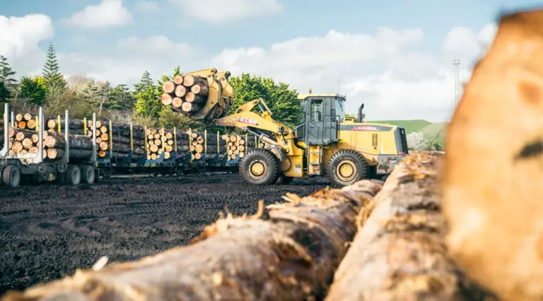 Forest360 - Harvesting management