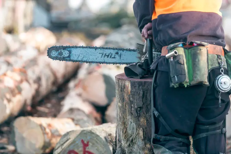 Forest360 - Forestry Services