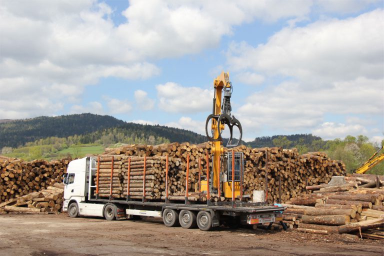 Forest 360 New Zealand Harvesting management services