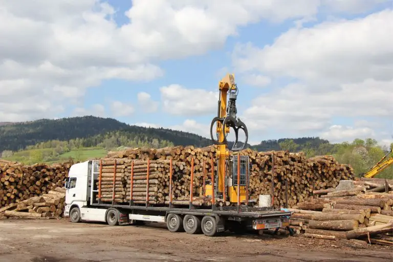 Forest 360 New Zealand Harvesting management services