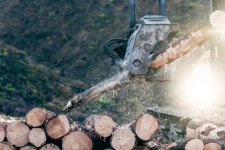 Forest 360 Harvesting management NZ