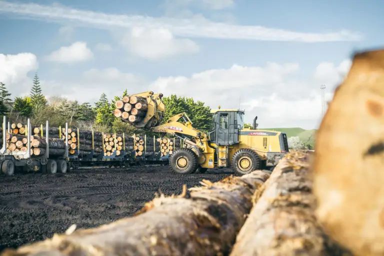 Forest360 - Harvesting management company NZ