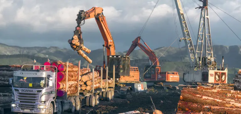 Forest360 - Largest forest management company NZ