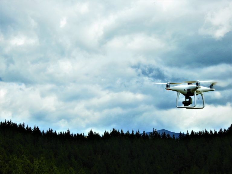 Forest 360 - Forest Drone surveillance