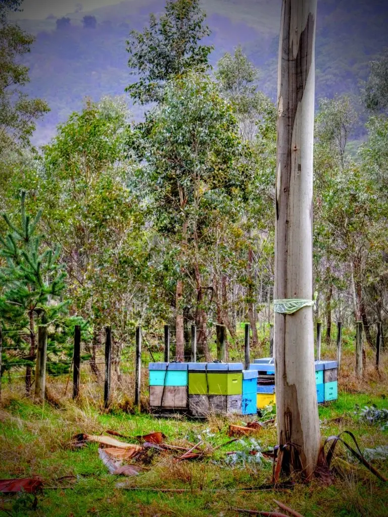 Forest 360 - Forestry consultancy